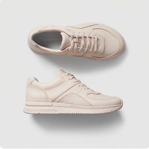 Everlane The Trainer Leather Sneakers